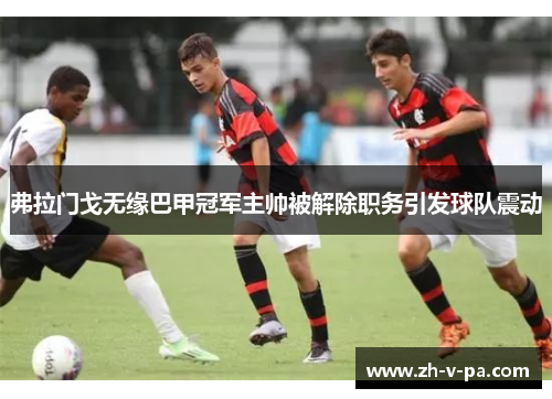 弗拉门戈无缘巴甲冠军主帅被解除职务引发球队震动